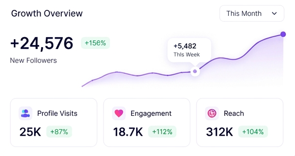 UpSocialy Instagram Dashboard